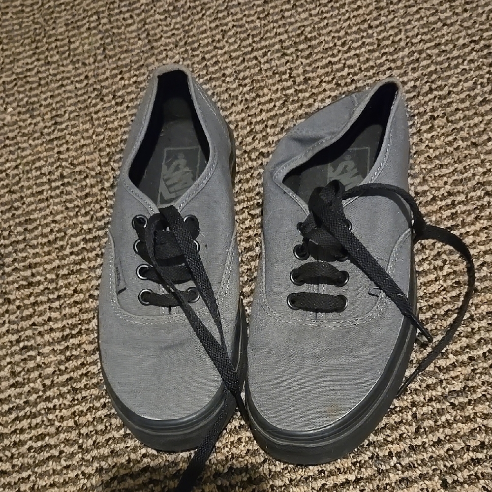 Vans Gray Canvas Sneakers skate